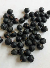 Cargar imagen en el visor de la galería, Cyrtostachys renda, palmera 'lacre rojo' / 'lápiz labial'