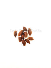 Cargar imagen en el visor de la galería, Dypsis Rivularis, Rivularis Palm