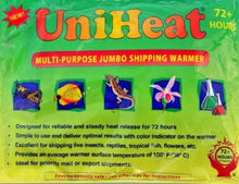 Charger l'image dans la galerie, Manguier à crème glacée, greffé professionnellement !